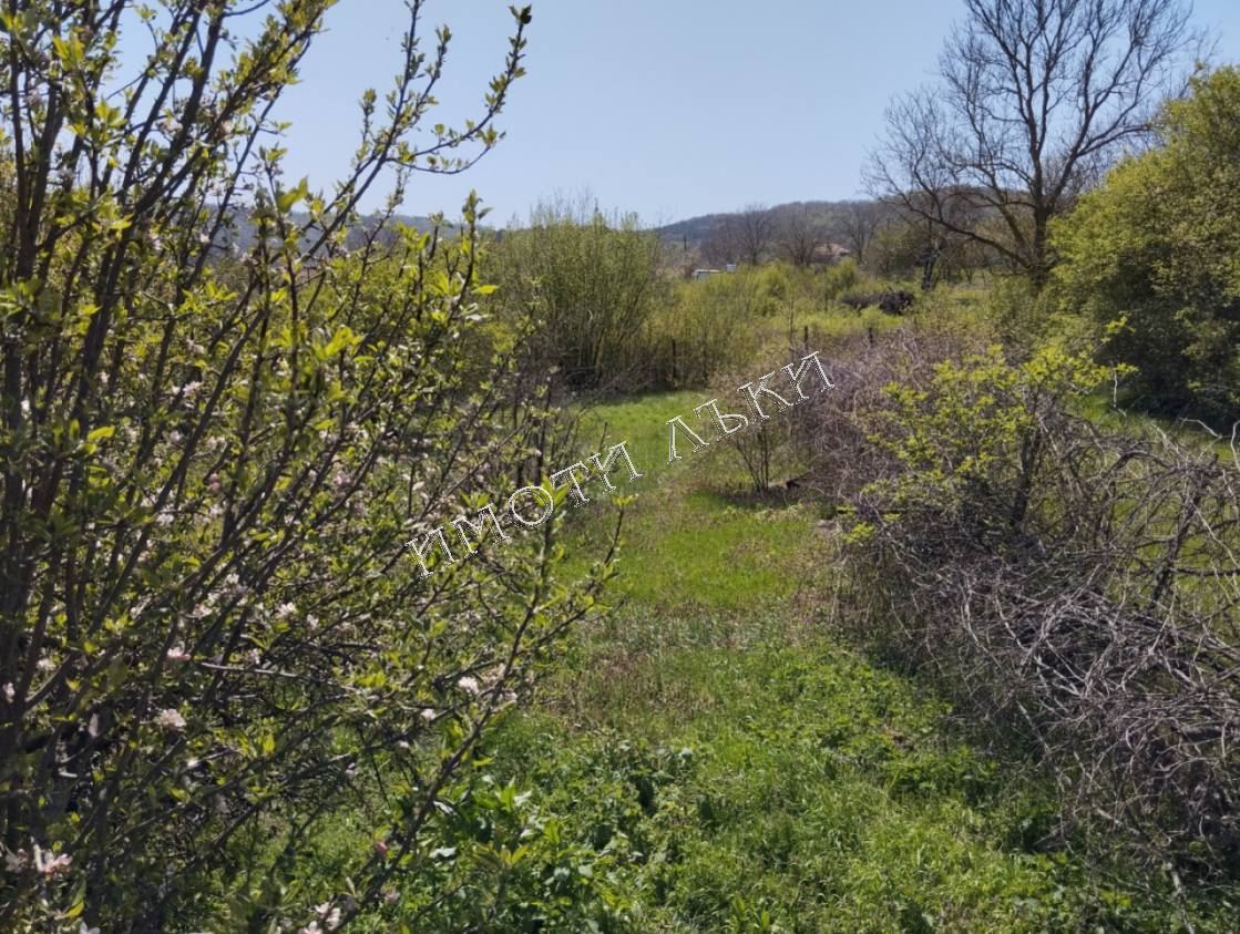 Варна обл. Къща 