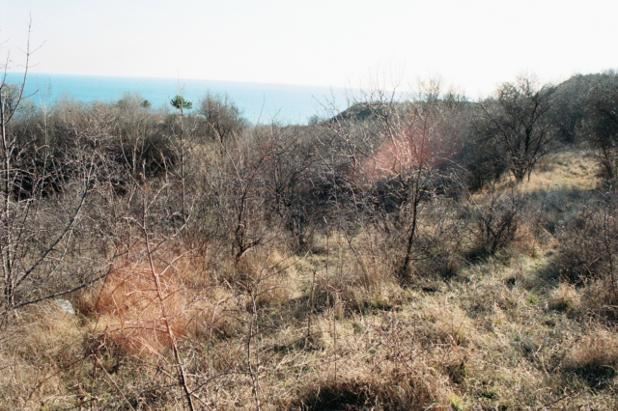 Парцел , к.к.Златни пясъци, Варна