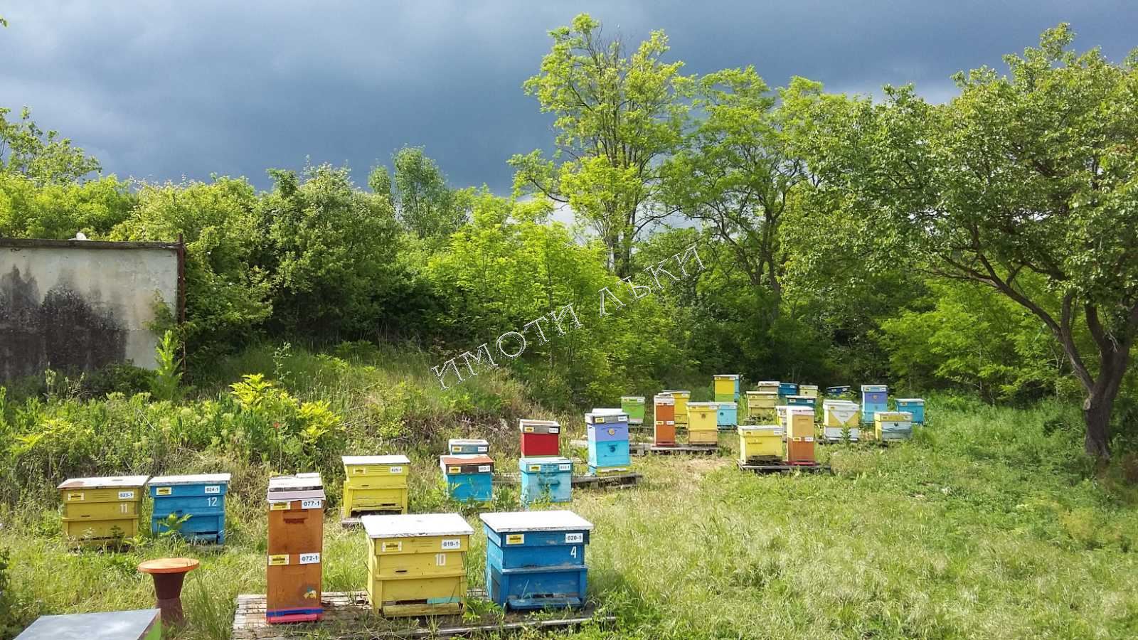 Парцел , с.Долище, Варна обл.