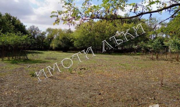 Парцел , с.Неофит Рилски, Варна обл.