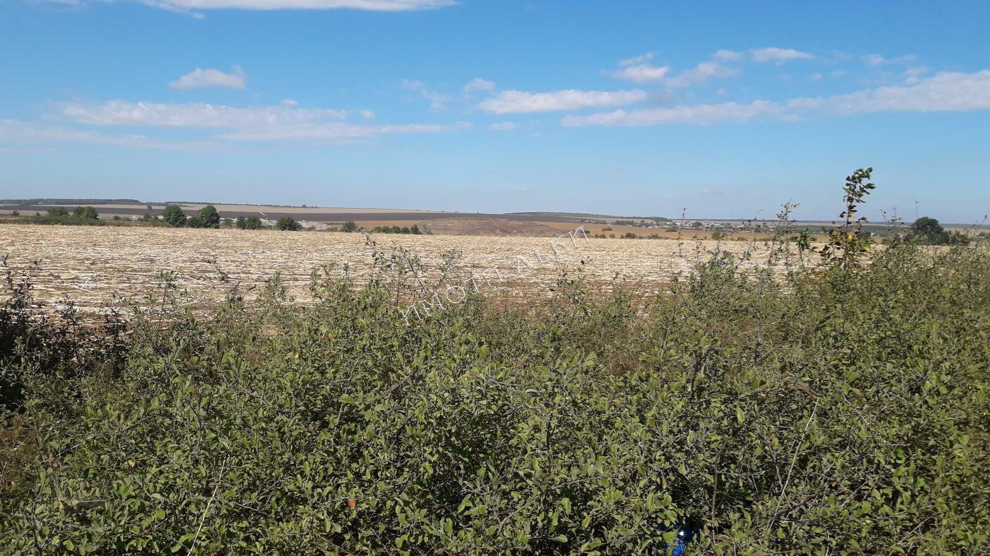 Земеделски имот , с.Яребична, Варна обл.