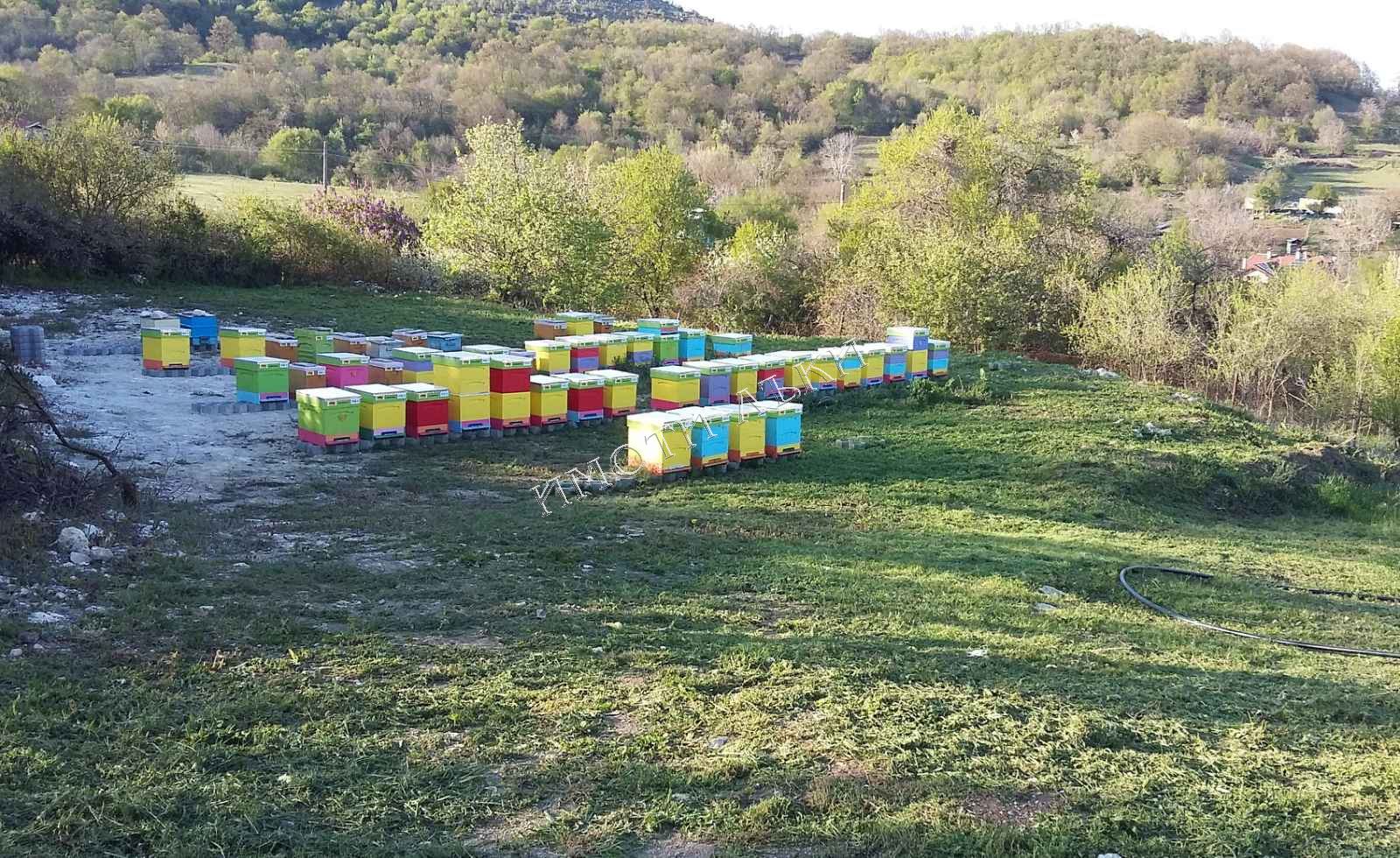 Парцел , с.Долище, Варна обл.