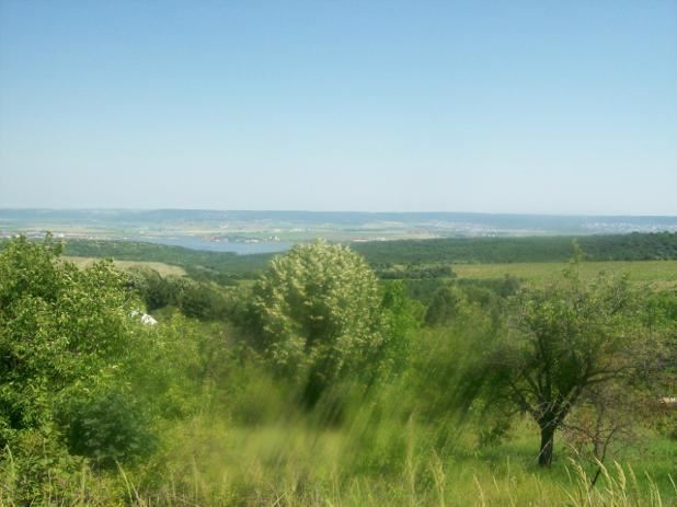 Парцел , с.Звездица, Варна обл.