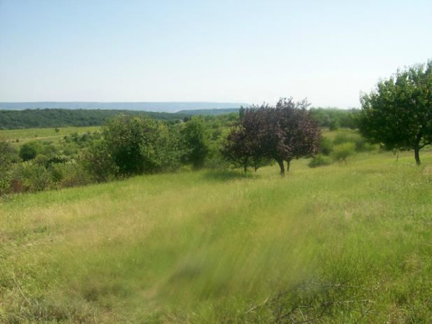 Парцел , с.Звездица, Варна обл.