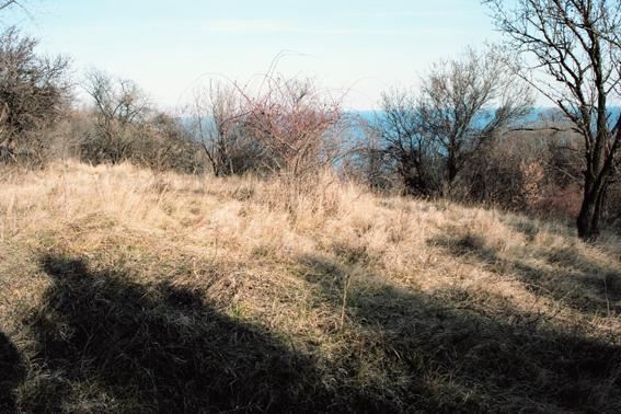 Парцел , к.к.Златни пясъци, Варна