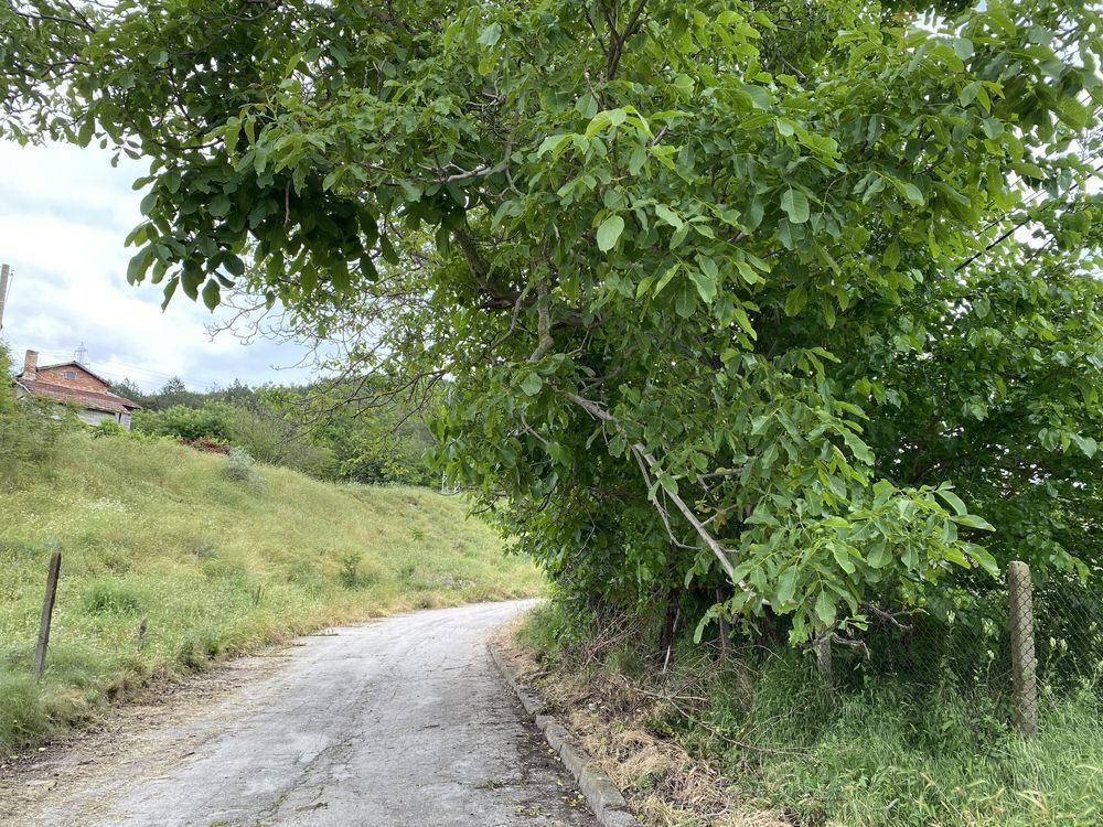 Парцел , гр.Девня, Варна обл.