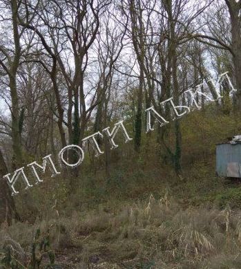 Парцел , с.Константиново, Варна обл.