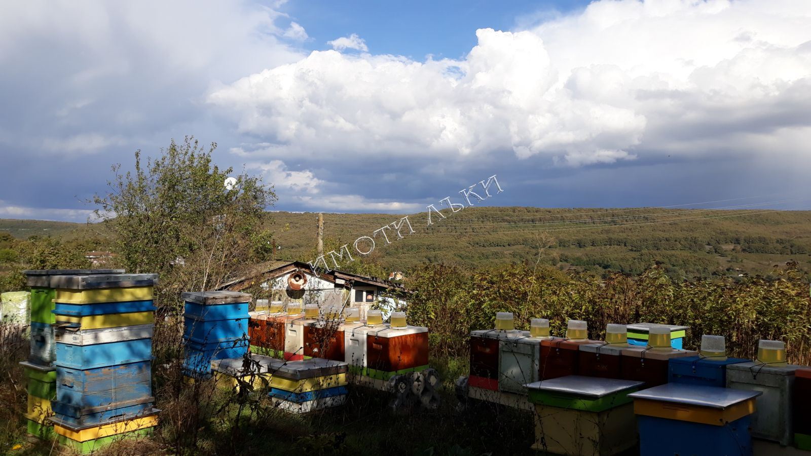 Парцел , с.Долище, Варна обл.