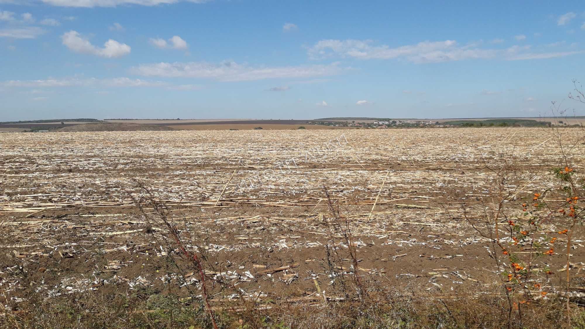 Земеделски имот , с.Яребична, Варна обл.