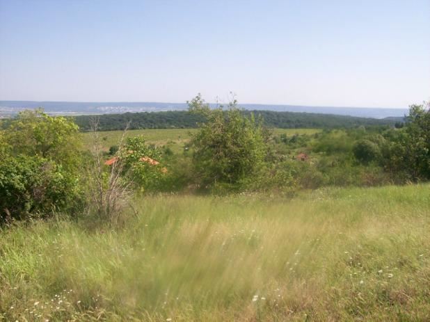 Парцел , с.Звездица, Варна обл.