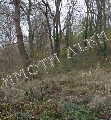 Парцел , с.Константиново, Варна обл.