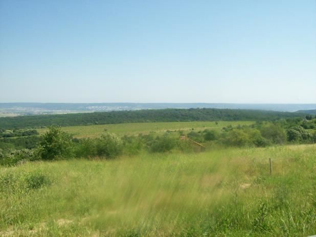 Парцел , с.Звездица, Варна обл.