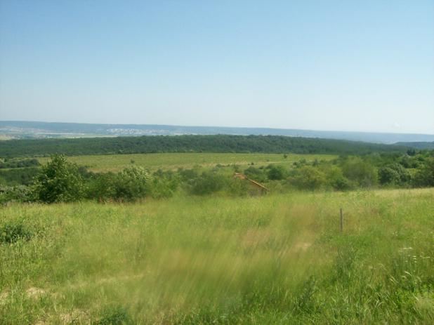 Парцел , с.Звездица, Варна обл.
