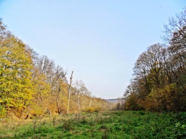 Парцел , с.Звездица, Варна обл.