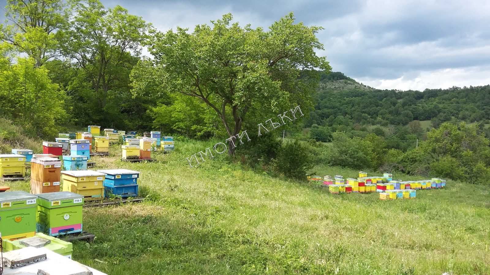 Парцел , с.Долище, Варна обл.