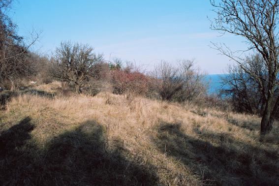 Парцел , к.к.Златни пясъци, Варна