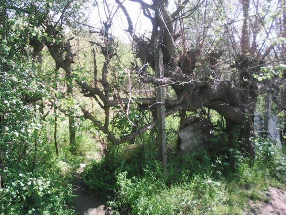 Парцел , Изгрев, Варна