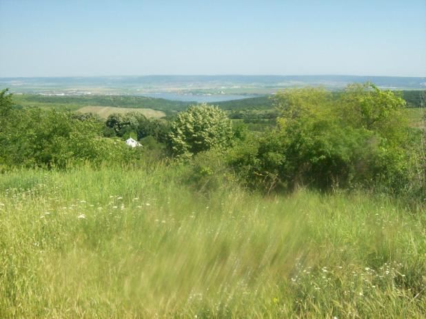 Парцел , с.Звездица, Варна обл.
