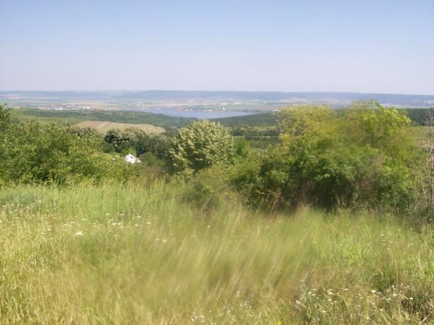 Парцел , с.Звездица, Варна обл.