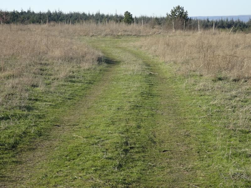 Парцел , Аспарухово, Варна