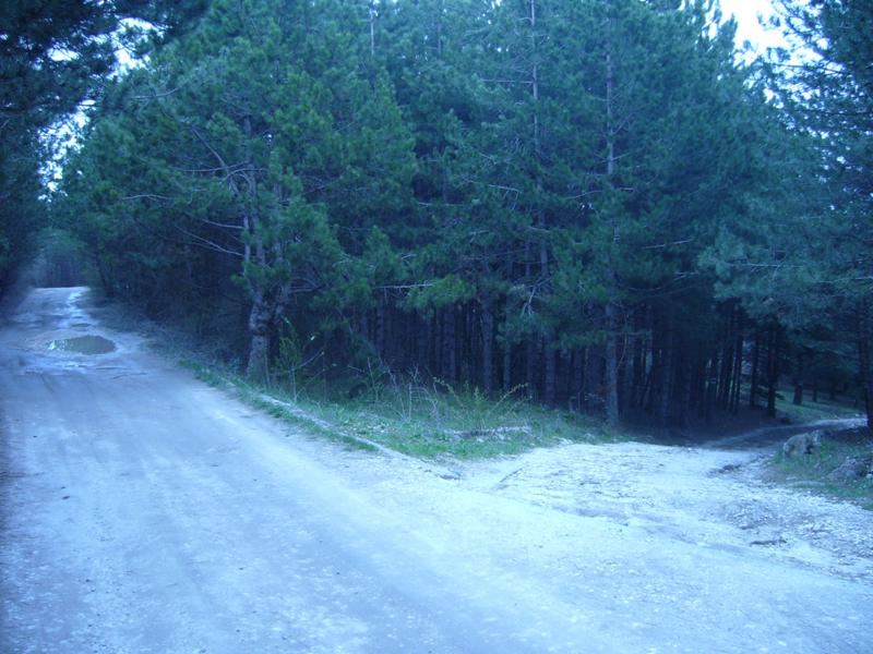 Варна Парцел 