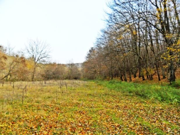 Варна обл. Парцел 